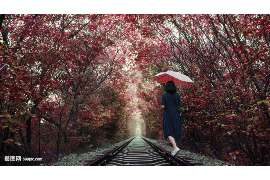 宜城捉小三公司